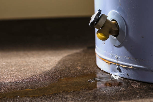 Best Professional water damage repair  in Richfield, UT