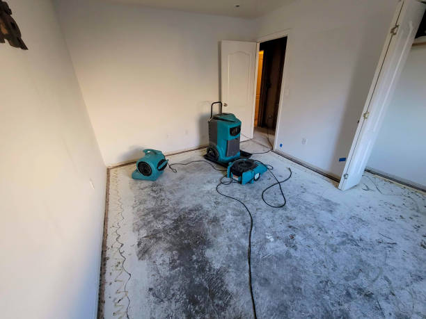Best Water damage restoration company  in Richfield, UT