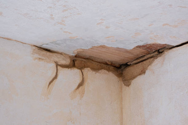 Best Carpet water damage restoration  in Richfield, UT