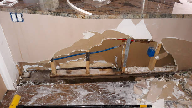Best Carpet water damage restoration  in Richfield, UT