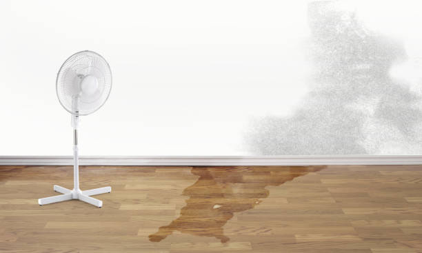 Best Sewage cleanup and water damage restoration  in Richfield, UT