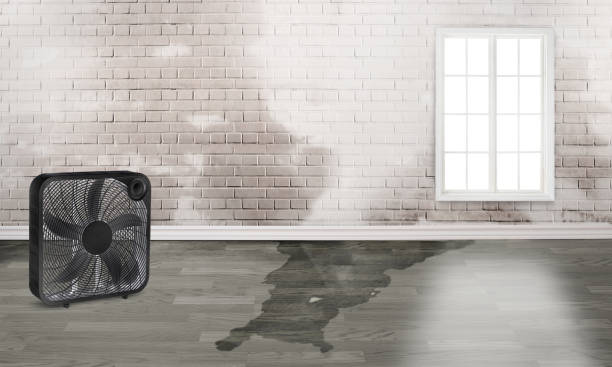 Best Emergency water damage restoration  in Richfield, UT